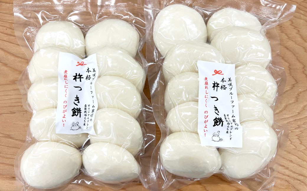 
            杵つき丸白餅 50g×10個入り 2袋 岡山県美咲町産 ／ 計約1kg 計20個 丸白餅  【6月-9月発送不可】
          