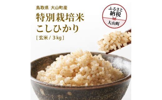 MR-12　減農薬・減化学肥料 特別栽培米こしひかり 3kg（玄米）