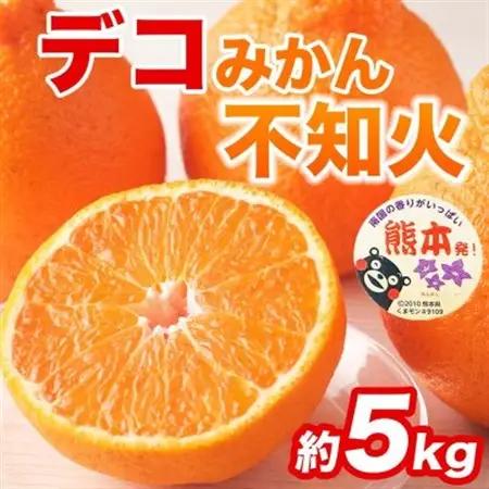 【先行予約】熊本県産 不知火 甘さが濃厚でジューシー! デコみかん 12～24玉 約5kg(益城町)【1726328】