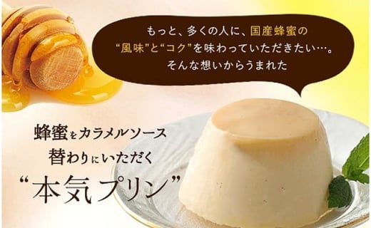 かの蜂 蜂蜜屋の本気プリン 8個セット 国産 はちみつ ソース入り プリン