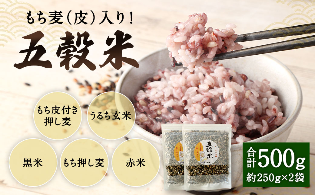 もち麦（皮） 入り！ 五穀米 250g×2袋 計500g 国産 雑穀米 五穀 黒米 押し麦 うるち玄米 赤米 ブレンド 米 お米 雑穀 ご飯 ごはん 国産