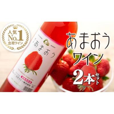 ふるさと納税 八女市 あまおうワイン2本セット