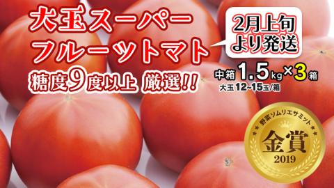 【令和5年2月上旬より順次発送】大玉 スーパーフルーツトマト 中箱 1.5kg × 3箱 【大玉 12～15玉／箱】糖度9度以上 金賞 受賞 美容 トマト とまと 野菜 [BC015sa]