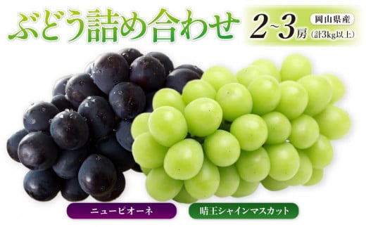 ぶどう［2025年先行予約］晴王 シャインマスカット 2～3房＆ニューピオーネ 2～3房（計3kg以上） 詰め合わせ 岡山県産 | フルーツ 果物 くだもの ぶどう ブドウ シャインマスカット 晴王 ニューピオーネ 国産 岡山県産 食品 人気 おすすめ 送料無料 ギフト 贈り物 贈答品 プレゼント 果物 くだもの フルーツ ぶどう ブドウ シャインマスカット 晴王 ニューピオーネ