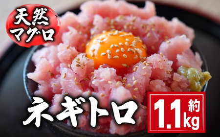 【 ねぎとろ 】 和田水産 ねぎとろ 1.1kg