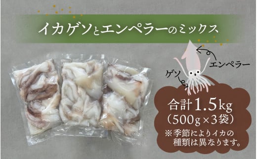イカゲソ/エンペラー 混載1.5kg（500ｇ×3袋）【急速冷凍】（プロトン凍結）｜ 詰め合わせ ギフト お土産 手土産 お礼 海 山  個包装 セット 魚 冷凍 急速冷凍 プロトン凍結  凍結 小分け ご飯のお供 おつまみ お中元 お歳暮 お弁当 酒の肴 保存食 おかず 高浜町 贈り物  魚介類 イカ イカゲソ 送料無料 A-022044