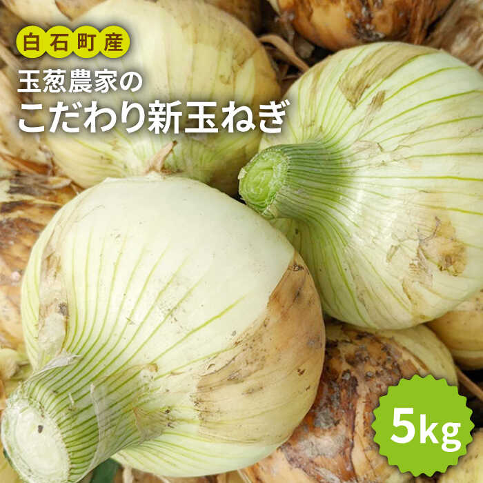 【農家直送！】玉葱農家のこだわり 新玉ねぎ 約5kg 【玉葱農家 陣内ちひろ】新たまねぎ 新玉葱 タマネギ 玉ネギ  たまねぎ [IAO009]