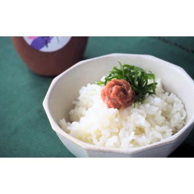 ふるさと納税 田辺市 ねり梅500g(1本)【ktk030】 |  | 02