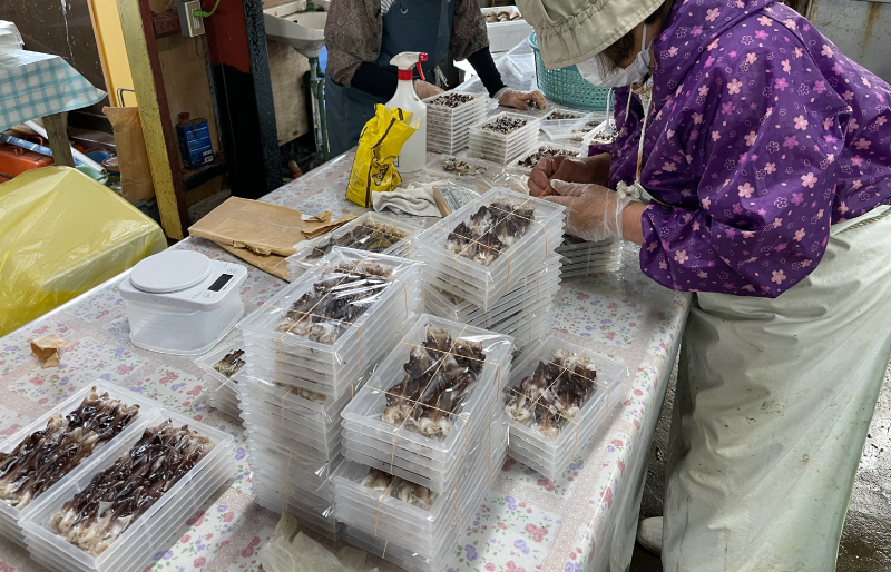 【期間限定】とりがいのひらき 旬 おすすめ 大サイズ とり貝 トリガイ 貝 鳥貝 急速冷凍 高タンパク 低脂肪 ヘルシー
