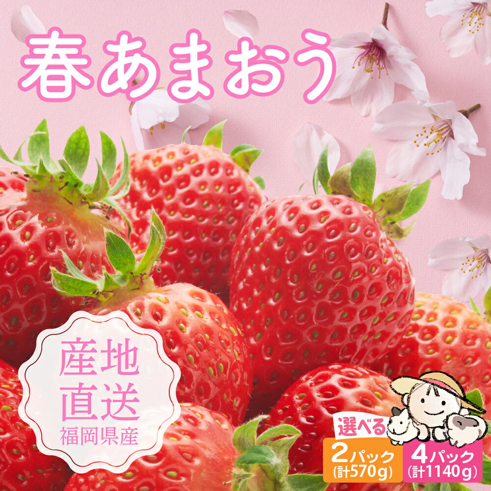 【ふるさと納税】【先行予約】爽やか 春あまおう いちご 570g 1140g 2パック 4パック 選べる内容量 数量限定【2026年2月下旬より順次発送】《豊前市》ココロファーム [VAE011]苺 いちご あまおう 福岡県産