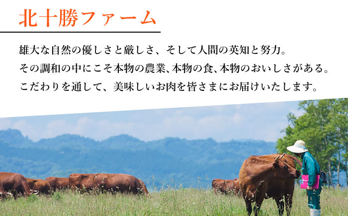 肉 ステーキ ロースステーキ 牛肉 赤身 和牛 ギフト 北海道産 北海道 