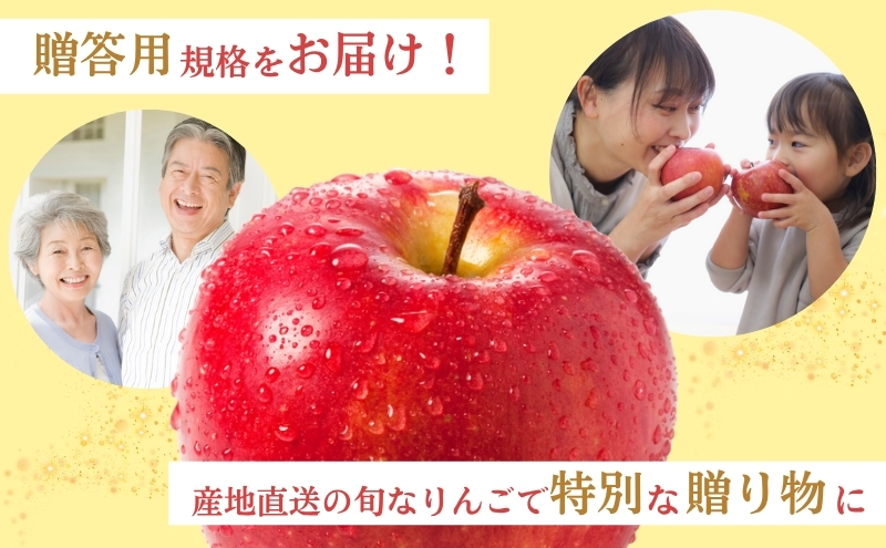 りんご 長野 贈答用 リンゴ シナノリップ 約3kg （12玉） 産地直送 ギフト プレゼント 贈答 贈答品 贈り物 フルーツ 果物 デザート おやつ 林檎 旬 信州 長野県 長野県産