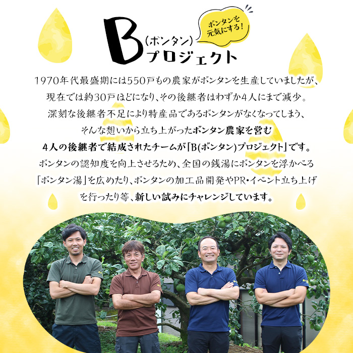 ボンタンサイダー(12本)一つ一つ手作業で皮を剥き、果汁をしぼり仕上げました！ぼんたん ボンタン 文旦 サイダー ジュース 飲み物 飲料 果汁 フルーツ 果物 炭酸【ボンタンプロジェクト】a-16-11