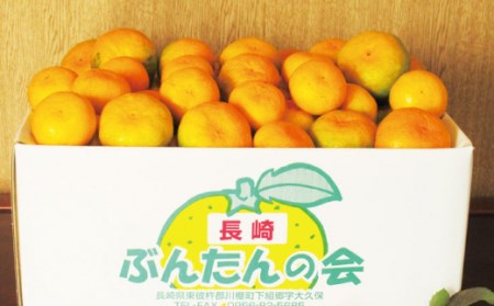 【数量限定】温州高糖度 原口みかん 約5kg【長崎ぶんたんの会】 [OAF004] / みかん みかん みかん みかん みかん みかん みかん