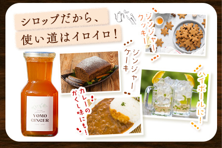 ヨモジンジャーシロップ 225ml×2本 A-TeaM《60日以内に順次出荷（土日祝除く）》熊本県 葦北郡 津奈木町 シロップ　よもぎ 蓬 万能薬草