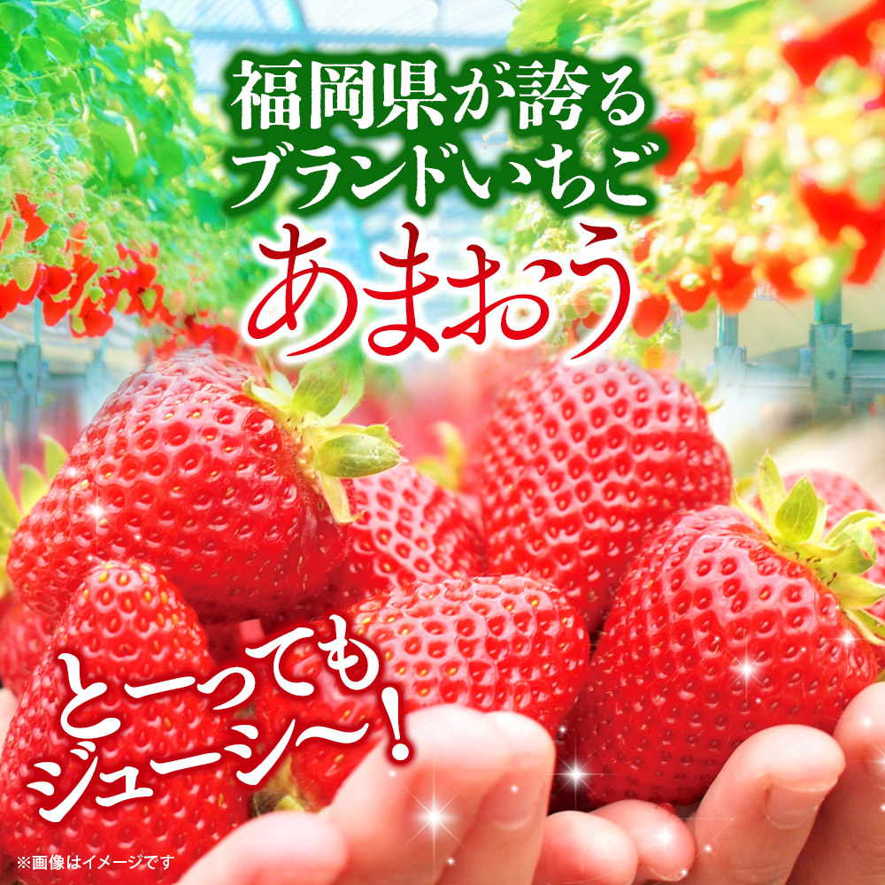 【2026年3月配送開始】福岡・博多名物ブランドいちご「あまおう」4パック 合計約1,080g＜配送不可：北海道・沖縄・離島＞