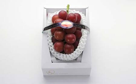 【高島屋選定品】ルビーロマン 一房 （700g以上）ぶどう 高級 ブドウ 葡萄 デザート フルーツ 果物 くだもの F6P-2833