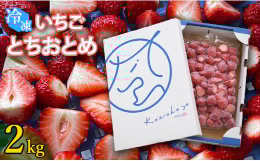 冷凍いちご とちおとめ 選べる 2kg 国産 完熟 おやつ ジャム スムージー ヨーグルト シェイク