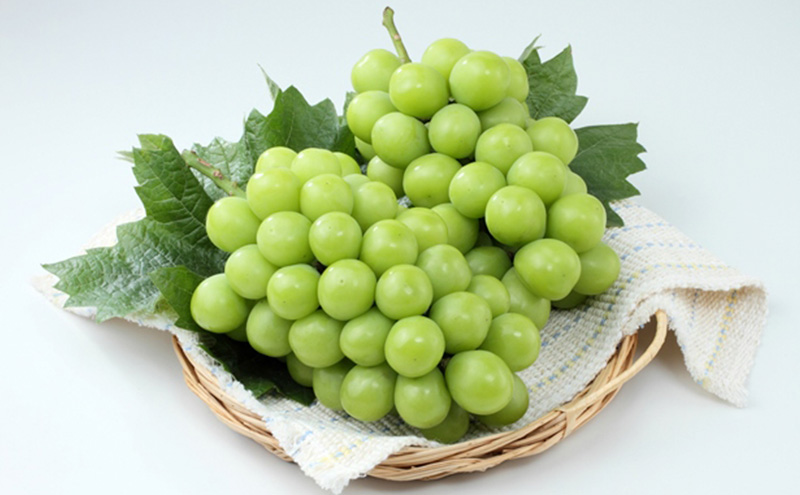 ぶどう 2025年 先行予約 シャインマスカット＆クイーンニーナ  各1房 約1.2kg ブドウ 葡萄 岡山県産 国産 フルーツ 果物 直送！せとうちバスケット