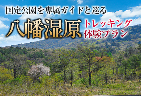 トレッキング 体験 専属ガイド 国定公園 『八幡湿原』 体験プラン