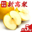 【ふるさと納税】N07 梨 なし 新高梨 5kg フルーツ 先行予約 2024年 10月 上旬頃 栃木県