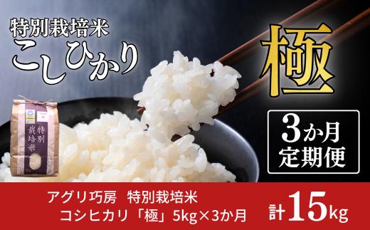 [定期便5kg×3か月] 特別栽培米 コシヒカリ 「極」 5kg×3か月 計15kg 令和7年産 一等米 こしひかり 新潟県認証 精米 白米【035S009】