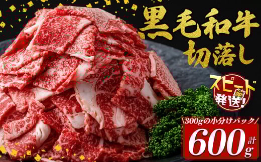 【10営業日以内に発送】国産黒毛和牛切落し計600g（300g×2P） 牛肉 牛 切り落とし 切落し 小間切れ 小分け 真空パック 牛丼 カレー 肉じゃが 真空パック 黒毛和牛 すぐ届く 短納期 a0-374-10d