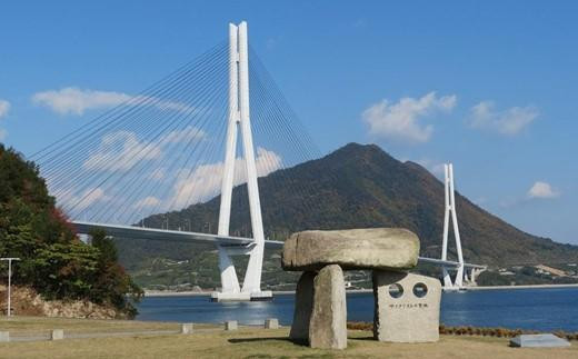 瀬戸内しまなみ海道 多々羅大橋塔頂体験【10月19日(日)10:40～】