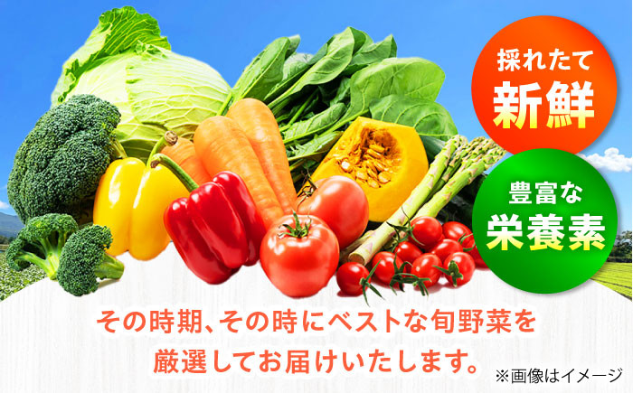 新鮮 旬 人気 お取り寄せ 詰め合わせ