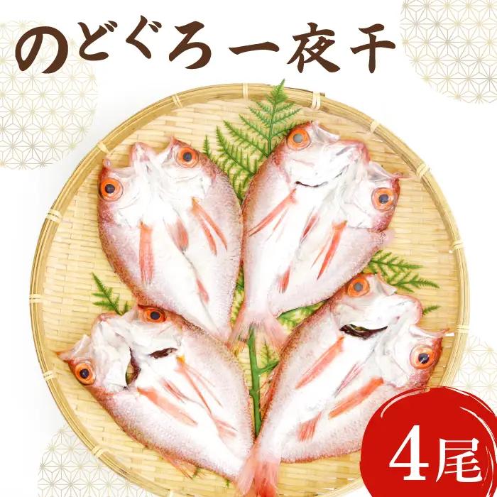 ノドグロ一夜干４尾セット【のどぐろ一夜干し のどぐろ 干物 4尾 1尾あたり120～140g 島根県産 大田市産 魚介類 魚 ノドグロ のど黒 高級魚 干物 真空パック 冷凍】