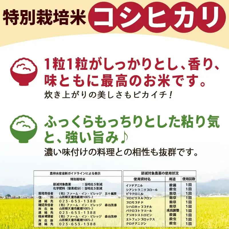 コシヒカリ 10kg [ 令和8年産 ] 米 精米 山形
