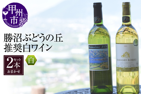 勝沼ぶどうの丘推奨 白ワイン2本セット B2-614【甲州 ワイン お酒 白ワイン 甲州ワイン 日本ワイン お酒 人気 推奨 おまかせ ワイン フルボトル ワイン パーティー ワイン 家庭用 ワイン 