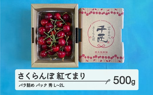 
            《先行予約》2025年 山形県産 さくらんぼ 紅てまり バラ詰め（パック） 500g 秀 L～2L サクランボ フルーツ 果物 F21A-465
          