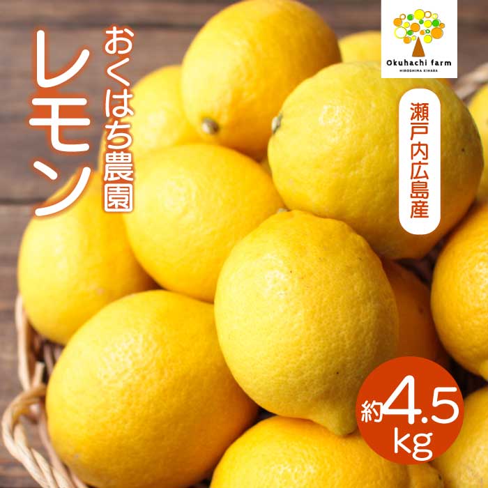 【ふるさと納税】【おくはち農園】レモン 4.5kg 《2026年11月～2027年3月発送予定》栽培期間中 防腐剤 ワックス 不使用 旬 柑橘 かんきつ フルーツ 果物 166022