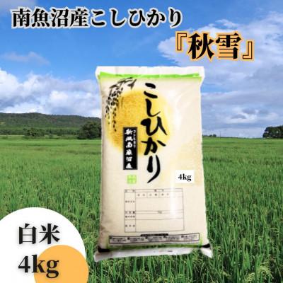 ふるさと納税 南魚沼市 【令和7年産】南魚沼産こしひかり「秋雪」白米4kg 新潟県の特A地区南魚沼市の美味しいお米