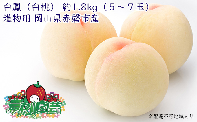 桃 2025年 先行予約 白桃 白鳳 約1.8kg 5～7玉 進物用 もも モモ フルーツ 果物 岡山 赤磐市産 農マル園芸 あかいわ農園