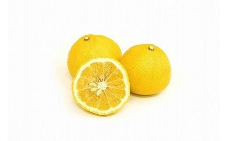 【2027年2月中旬頃から順次発送】はるか 家庭用(優品) 約2.5kg【KK0201】
