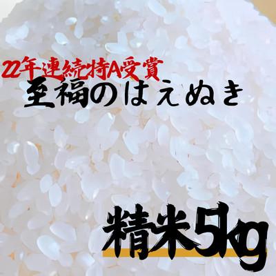 ふるさと納税 新庄市 至福のはえぬき(精米)5kg