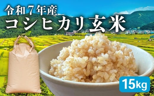 【先行予約 令和7年産】新米 コシヒカリ 玄米 15kg 米 お米 ご飯 15kg 1袋 令和7年 こしひかり 10月 順次発送 滋賀 彦根