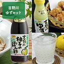 【ふるさと納税】吉野川ゆずセット　調味料・果実飲料・ジュース・野菜・ゆず・ユズ・ぽん酢・ポン酢・ドリンク・セット