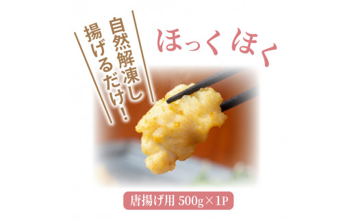 級魚をご家庭で！豊後ハモの骨切り＆唐揚げ用（計1kg）（29245 A)_イメージ4