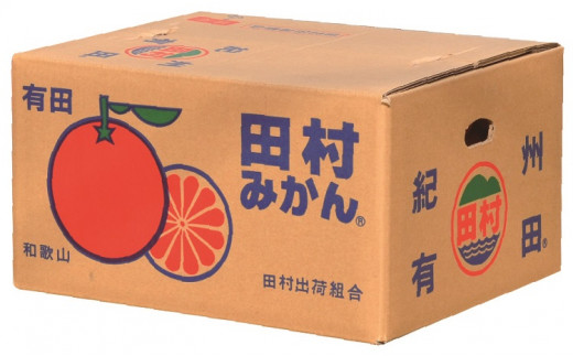 【予約受付】田村みかん 特選ギフト品 10kg【Mサイズ】赤秀/紀州和歌山有田郡湯浅町田村地区産 ◆2024年11月下旬～2025年1月中旬頃に発送(お届け日指定不可)　紀伊国屋文左衛門本舗【sutb