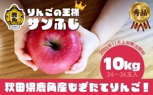《 先行予約 》 秋田県鹿角産 りんご 秀品 サンふじ 約 10kg（24～36玉入） ●2025年11月上旬発送開始 【ケーケー農園】かづのりんご 食感 果汁 さっぱり リンゴ 完熟 旬 県産りんご 林檎 お中元 お歳暮 贈り物 お見舞い グルメ ギフト 故郷 秋田 あきた 鹿角市 鹿角 送料無料 