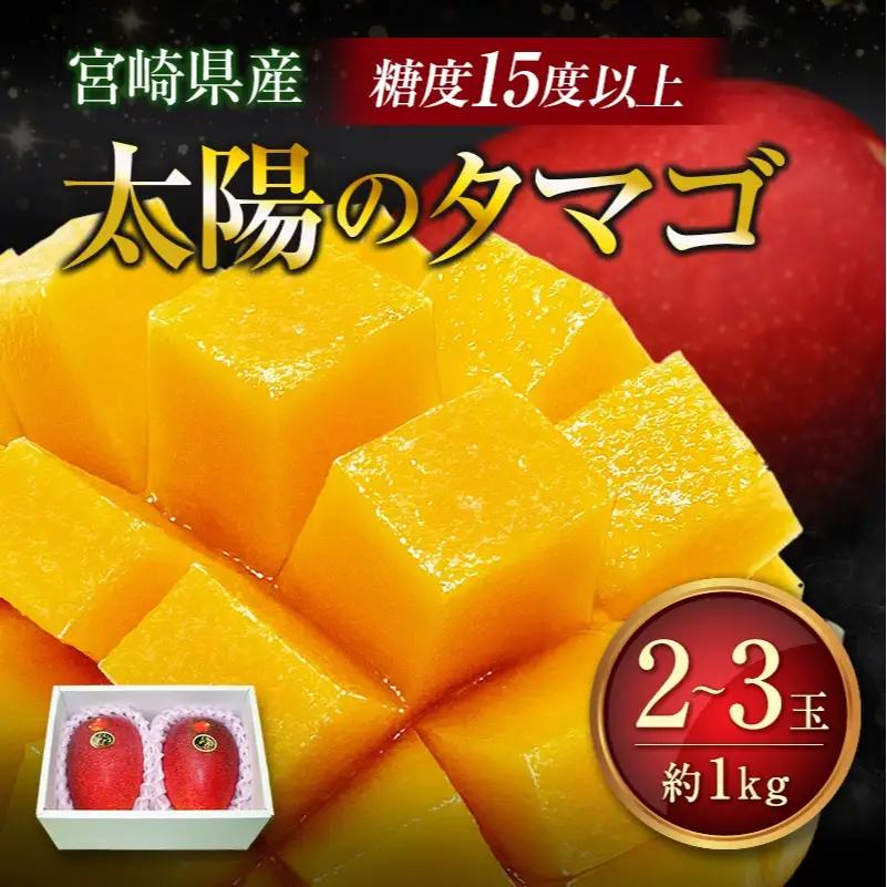 糖度15度以上『太陽のタマゴ』 約1kg 2～3玉 宮崎県産 完熟マンゴー ブランド 贈答 ギフト 南国 トロピカル フルーツ 果物 くだもの 化粧箱入り