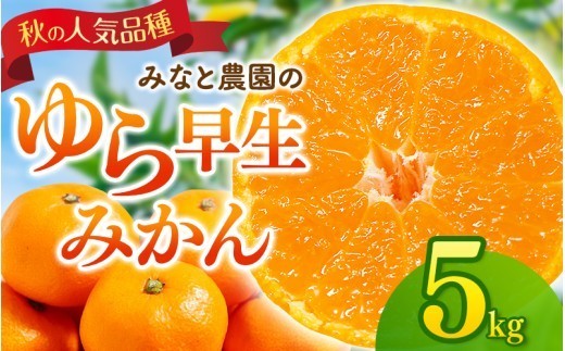 【数量限定】みかん みなと農園のゆら早生みかん  約5kg 2S～Lサイズ混合 【2026年10月中旬頃〜順次発送】 みかん ミカン 蜜柑 温州みかん 温州ミカン ゆら早生 柑橘 フルーツ 果物 くだ