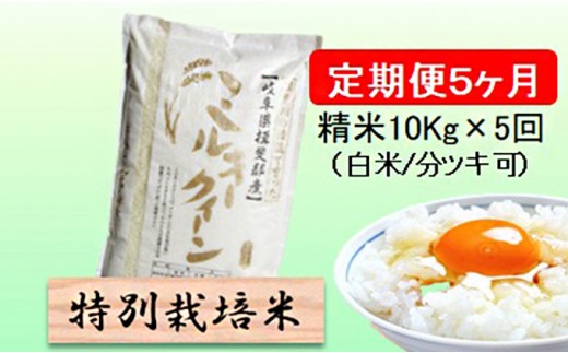 
                  特別栽培米★[定期便] 5カ月★毎月 精米10kg（白米/7分/5分ツキ可）【ミルキークイーン】　玄米は別に出品 [№5644-1155]
                