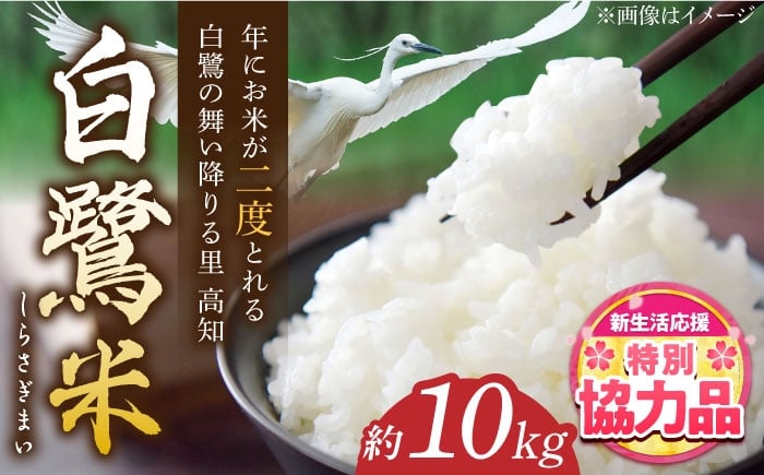 
                  農薬節減！ R7年度産 特別栽培米 白鷺米 コシヒカリ 約10kg ＜2025年9月中旬～発送＞ / 高知 米 お米 精米　【津ノ宮農園】[ATBV020]
                