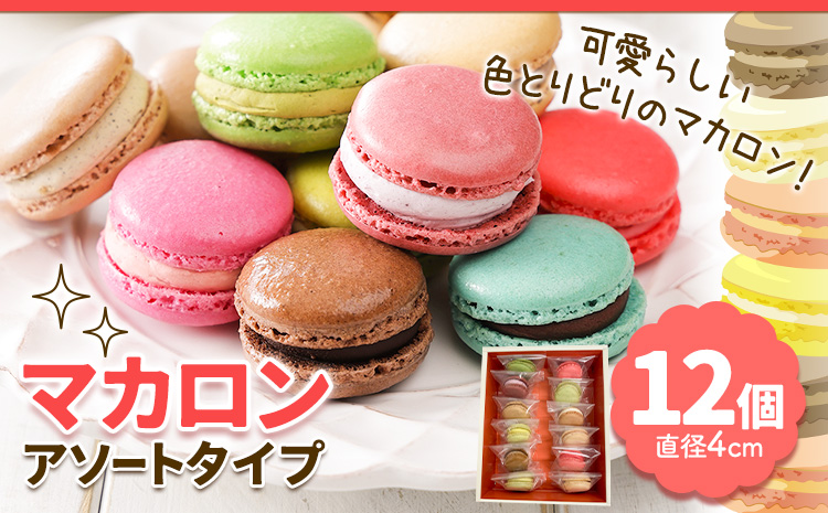 マカロン アソートタイプ 12個入り 欧風ケーキ工房 かねもり 《45日以内に出荷予定(土日祝除く)》 北海道 本別町 送料無料 スイーツ デザート 洋菓子 お菓子 全15種 ランダム