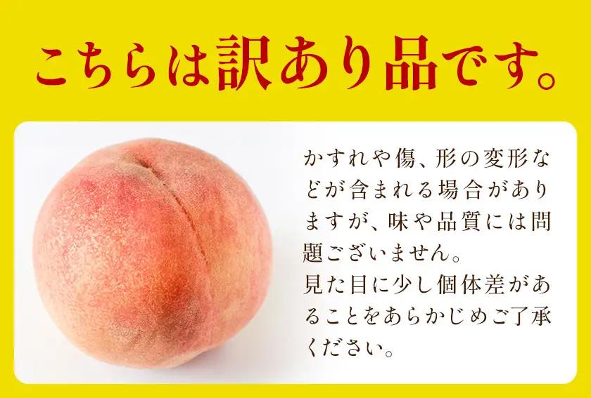 訳あり 桃 モモ ご家庭用 2kg (5-7玉前後) 株式会社農業福祉研究機構《6月下旬-8月上旬頃出荷》和歌山県 紀の川市 送料無料 フルーツ 果物 もも 白鳳 なつっこ 川中島白桃 旬 旬のフルー