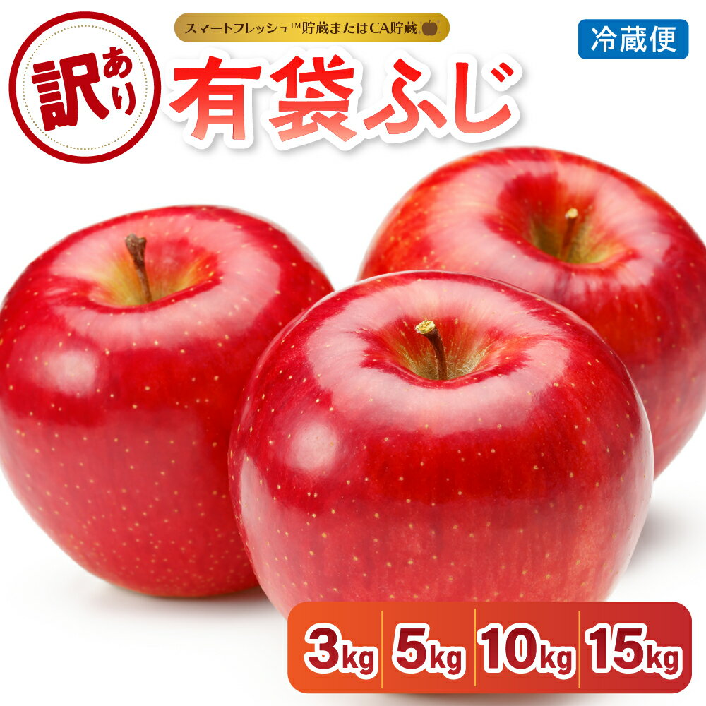 【ふるさと納税】【 訳あり 】 りんご 選べる内容量 3kg 5kg 10kg 15kg 有袋ふじ 青森 【発送時期が選べる】 【スマートフレッシュTM貯蔵 または CA貯蔵 ・ クール便 フルーツ 果物 送料無料 産地直送 青森県 五所川原市 】